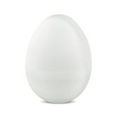 EggTemp Datenlogger für Temperatur